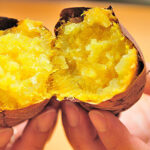 Thumbnail of related posts 008