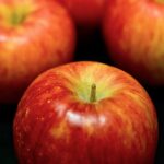 Thumbnail of related posts 191